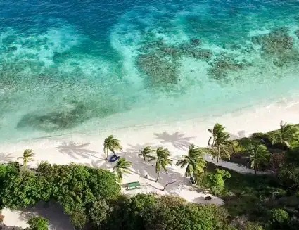 Tropical Climates